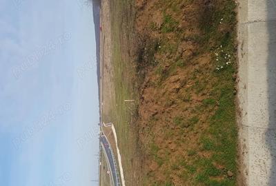 Teren de 3500 mp, în Băile Felix - 1