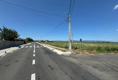 Teren Construcții intravilan de 9848 mp, în Golești