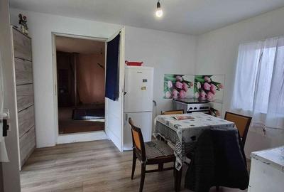 Casă cu 4 camere cu Teren 1200 Mp în Peciu Nou - 14