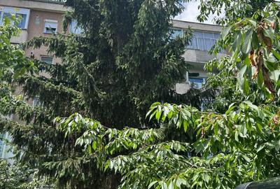 Garsonieră decomandată în Central - 1