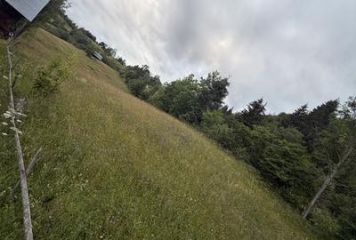 Teren de 7167 mp, în Scărișoara
