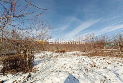 Casă cu Teren 2594 Mp în Ștefănești