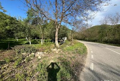 Teren de 2000 mp, în Borlova