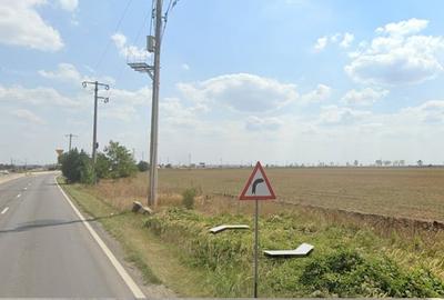 Teren Construcții intravilan de 82000 mp, în Păulești - 3