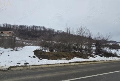 Teren de 3946 mp, în Jelna - 3