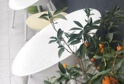 Apartament decomandat în Central
