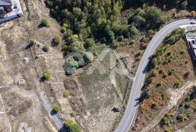 Teren Construcții intravilan de 994 mp, în Sălicea