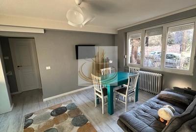 Apartament cu 2 camere semidecomandat, mobilat în Take Ionescu