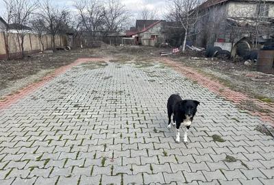 Teren de 800 mp, în Central - 3