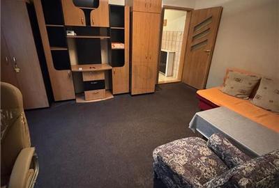 Apartament cu 2 camere semidecomandat, mobilat în Șagului
