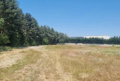 Teren de 4700 mp, în Tancodrom - 5
