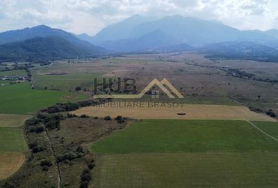 Teren Construcții extravilan de 29300 mp, în Pănicel - 3