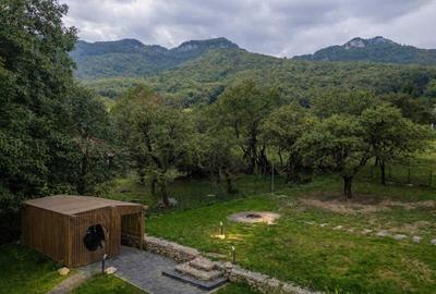 Casă cu 4 camere în Noua - 4
