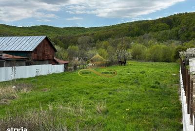 Teren de 2892 mp, în Mărgineni - 5