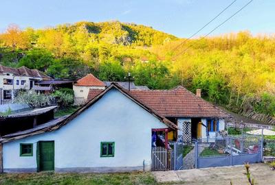 Casă cu Teren 416 Mp în Boiu