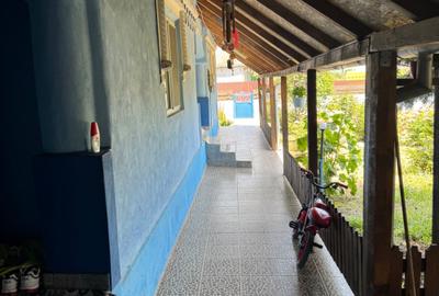 Casă cu 4 camere în Jurilovca - 1