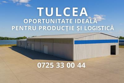 Spațiu industrial, în Zona Industrială - 1