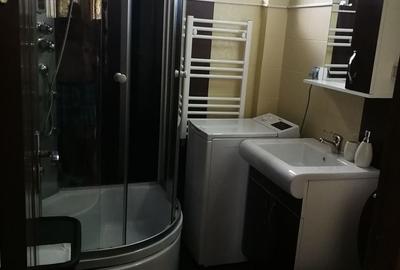 Apartament cu 2 camere semidecomandat în Crinț - 6