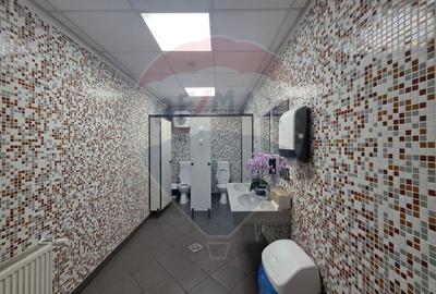 Birou, de 8,706 mp, în 13 Septembrie - 32