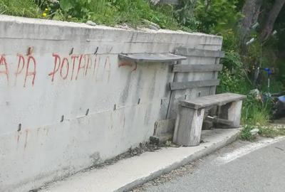 Teren de 3500 mp, în Muntele Băișorii