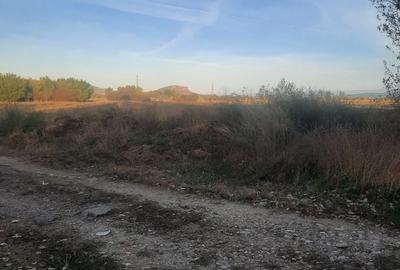 Teren de 7500 mp, în DHS