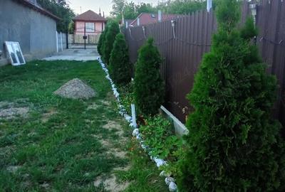 Teren de 700 mp, în Central