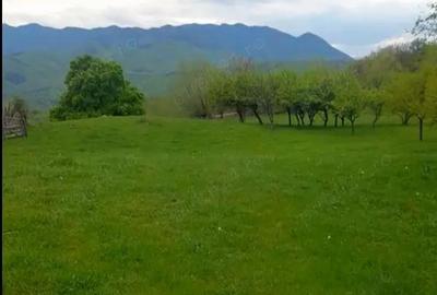 Teren de 26000 mp, în Rădăcinești - 2