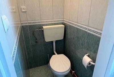Casă cu 3 camere cu Teren 150 Mp în Viișoara