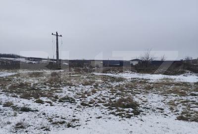 Teren Construcții intravilan de 737 mp, în Dumbrava (Ciurea)