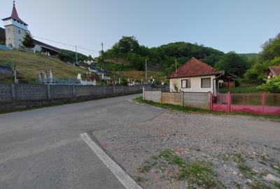 Casă individuală cu 4 camere cu Teren 8700 Mp în Băița - 1