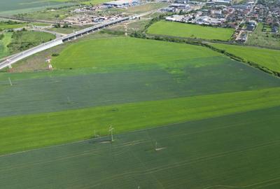 Teren agricol extravilan de 28089 mp, în Nord - 11