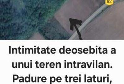 Teren de 2193 mp, în Râfov - 5