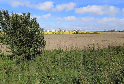Teren agricol extravilan de 25000 mp, în Exterior Vest - 8