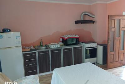 Casă cu 4 camere cu Teren 2877 Mp în Brazii - 17