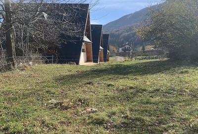 Teren de 1000 mp, în Predeluț - 7