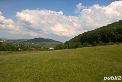 Teren de 200 mp, în Sărățel - 13