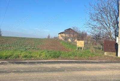 Teren de 5000 mp, în Glina