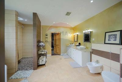 Casă cu Teren 1378 Mp în Eșelnița