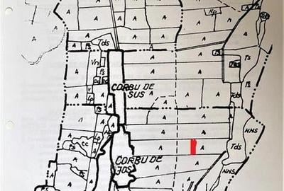 Teren agricol intravilan de 7500 mp, în Corbu - 2