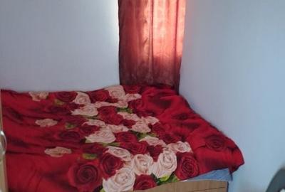 Apartament cu 2 camere semidecomandat în Casa de Cultură - 8