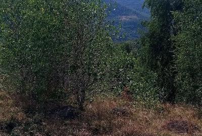 Teren de 1200 mp, în Central