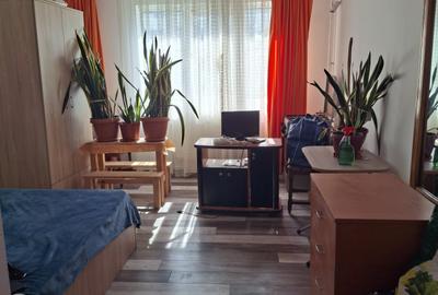 Garsonieră semidecomandată în Prundu