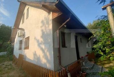 Casă cu 5 camere cu Teren 3400 Mp în Leamna de Sus - 3