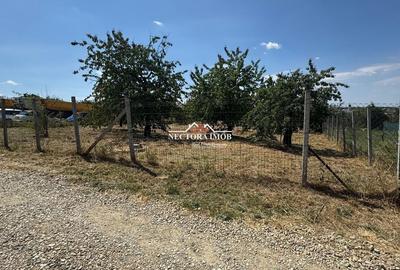 Teren de 1000 mp, în Paleu