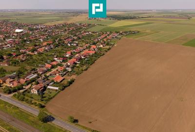 Teren agricol extravilan de 28500 mp, în Șofronea - 4