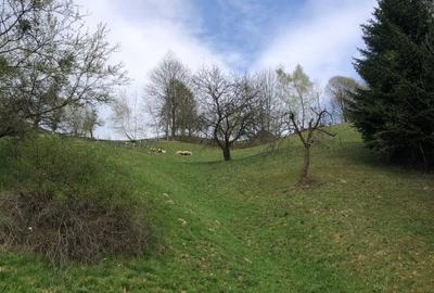Teren investiție, de 3,879 mp, în Bran - 2