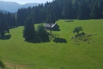 Teren de 7000 mp, în Fundata - 1