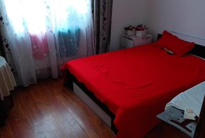 Apartament cu 2 camere semidecomandat în Broșteni
