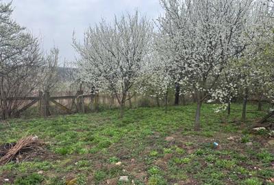 Casă cu 3 camere în Crestur - 2