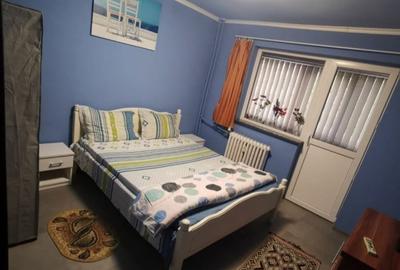 Apartament cu 2 camere decomandat în Craiovița Nouă
